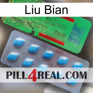 Liu Bian new03